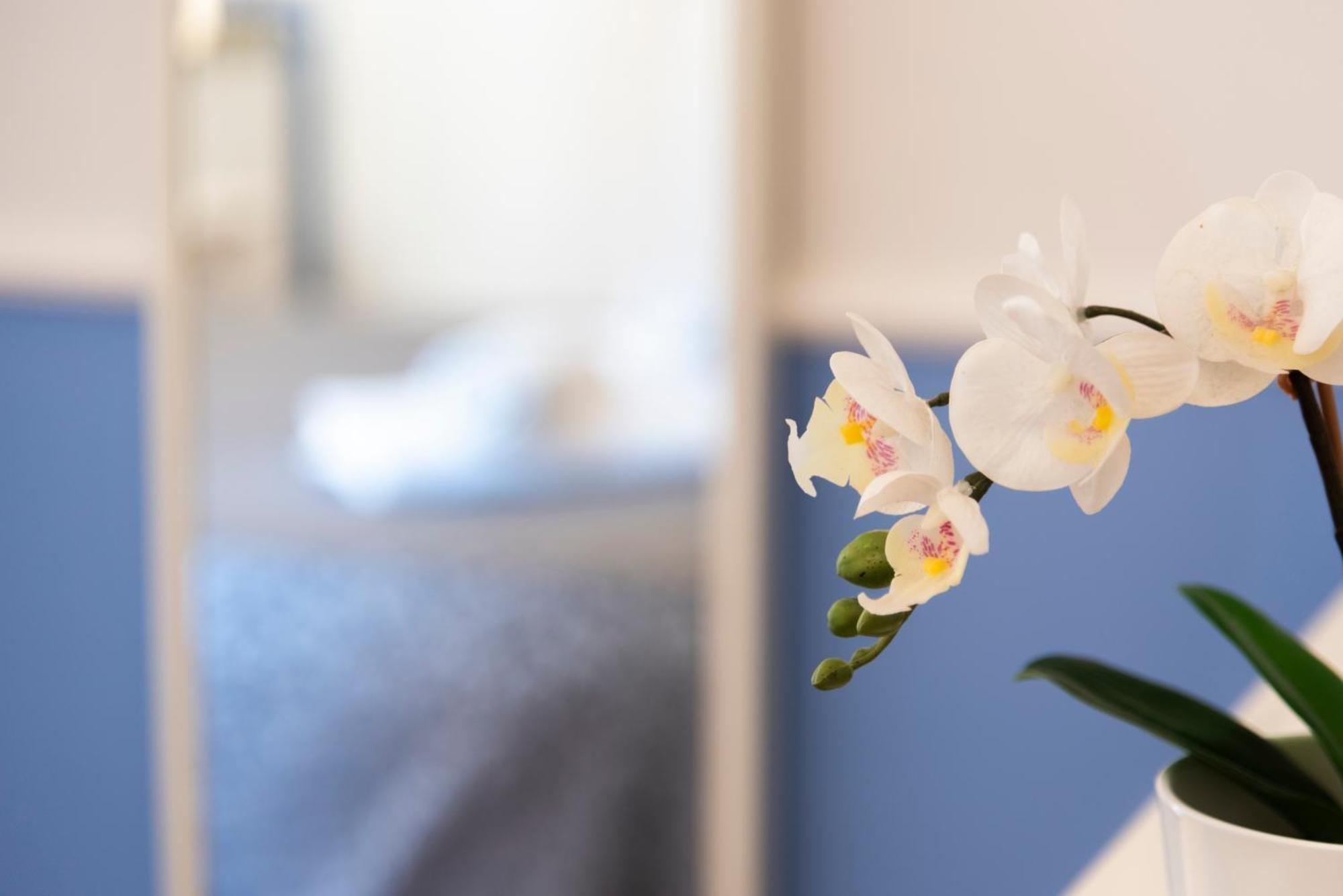 Gregorios San Pietro Hotel โรม ภายนอก รูปภาพ
